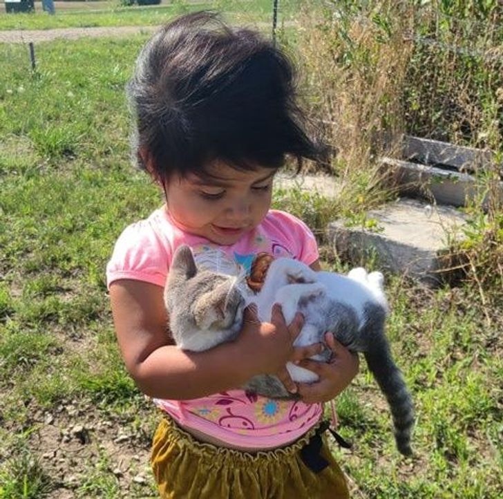 девочка с котенком на руках