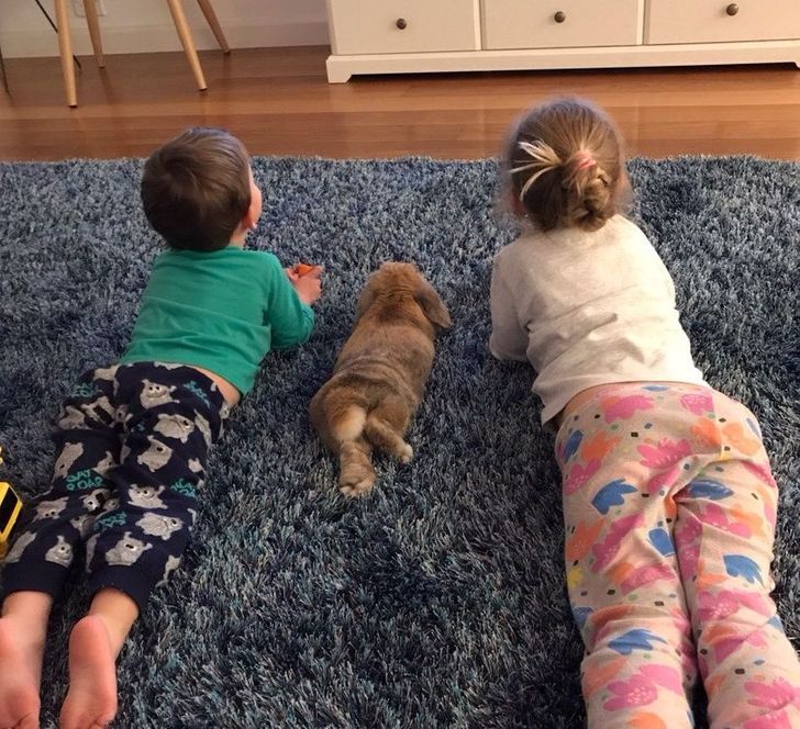мальчик, девочка и кролик лежат на ковре