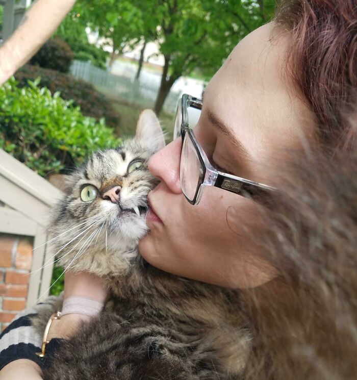 девушка в очках целует полосатого кота