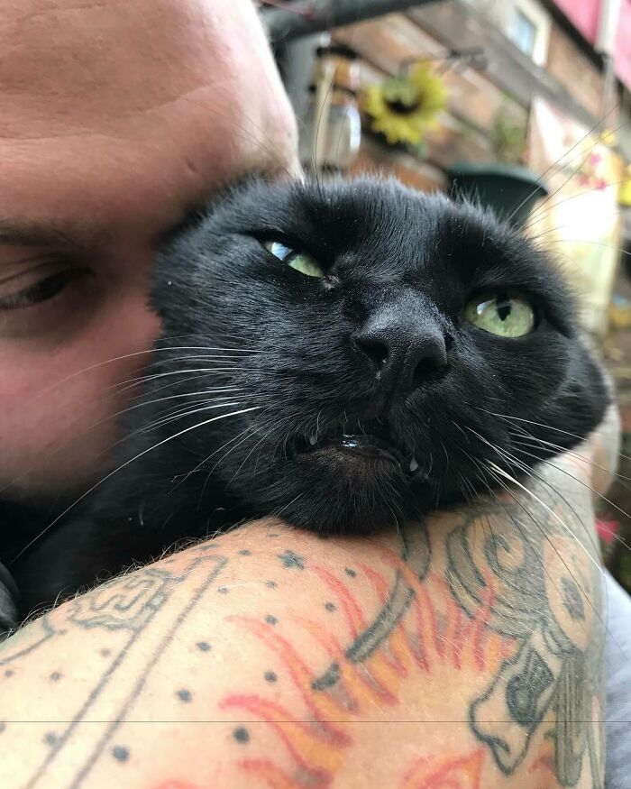 мужчина целует черного кота