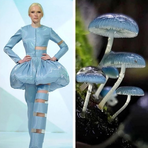 блондинка в голубом костюме и голубые грибы