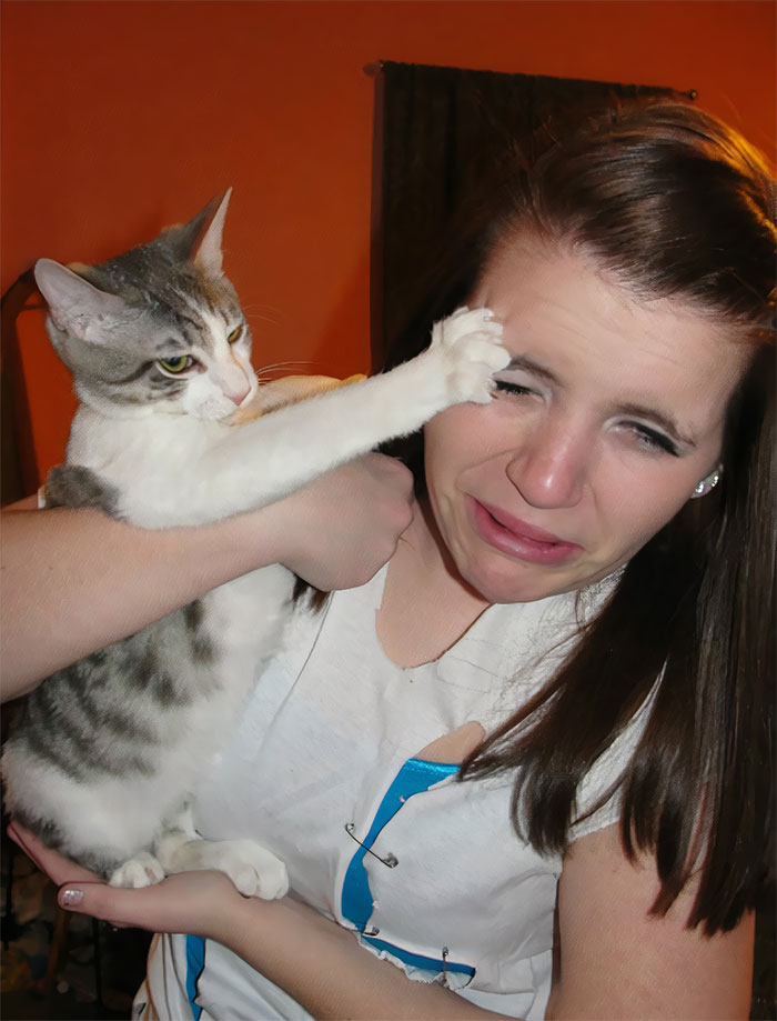 кот царапает девушку за лицо