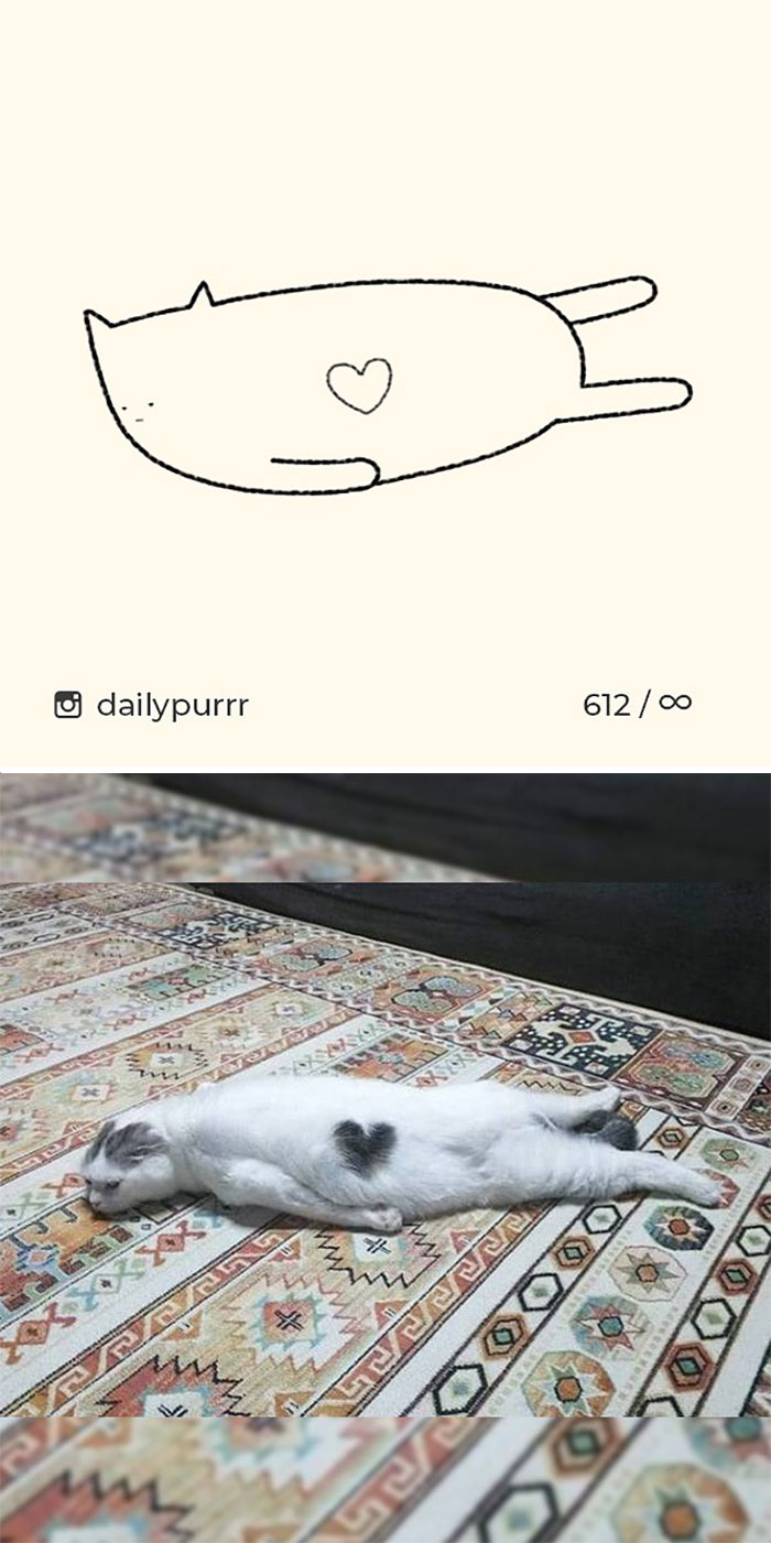 белый кот с черным сердечком на шерсти лежит на полу
