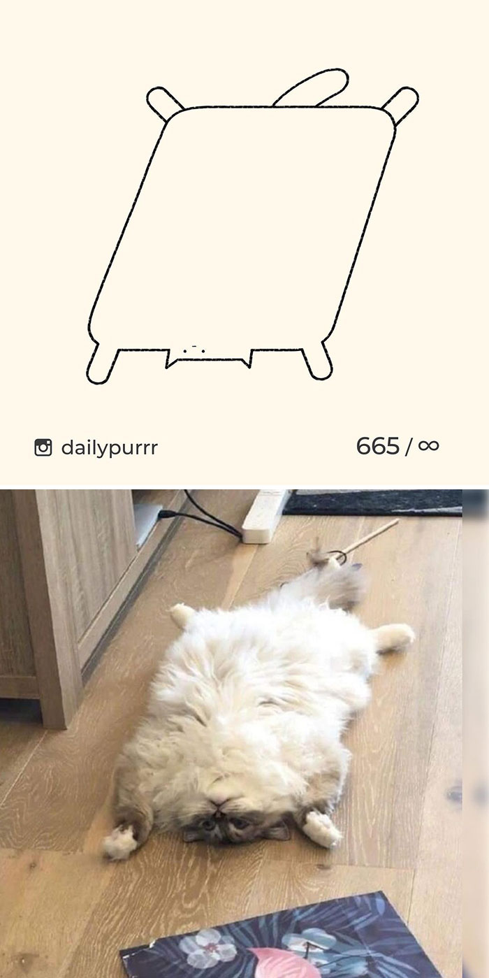 рисунок кота, лежащего на полу