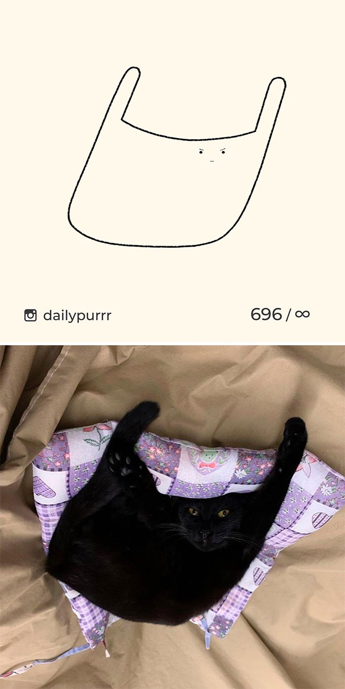 черный кот на подушке фото и рисунок