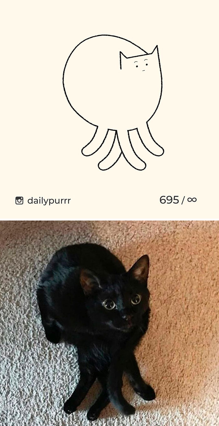 черный кот сидит на полу фото и рисунок
