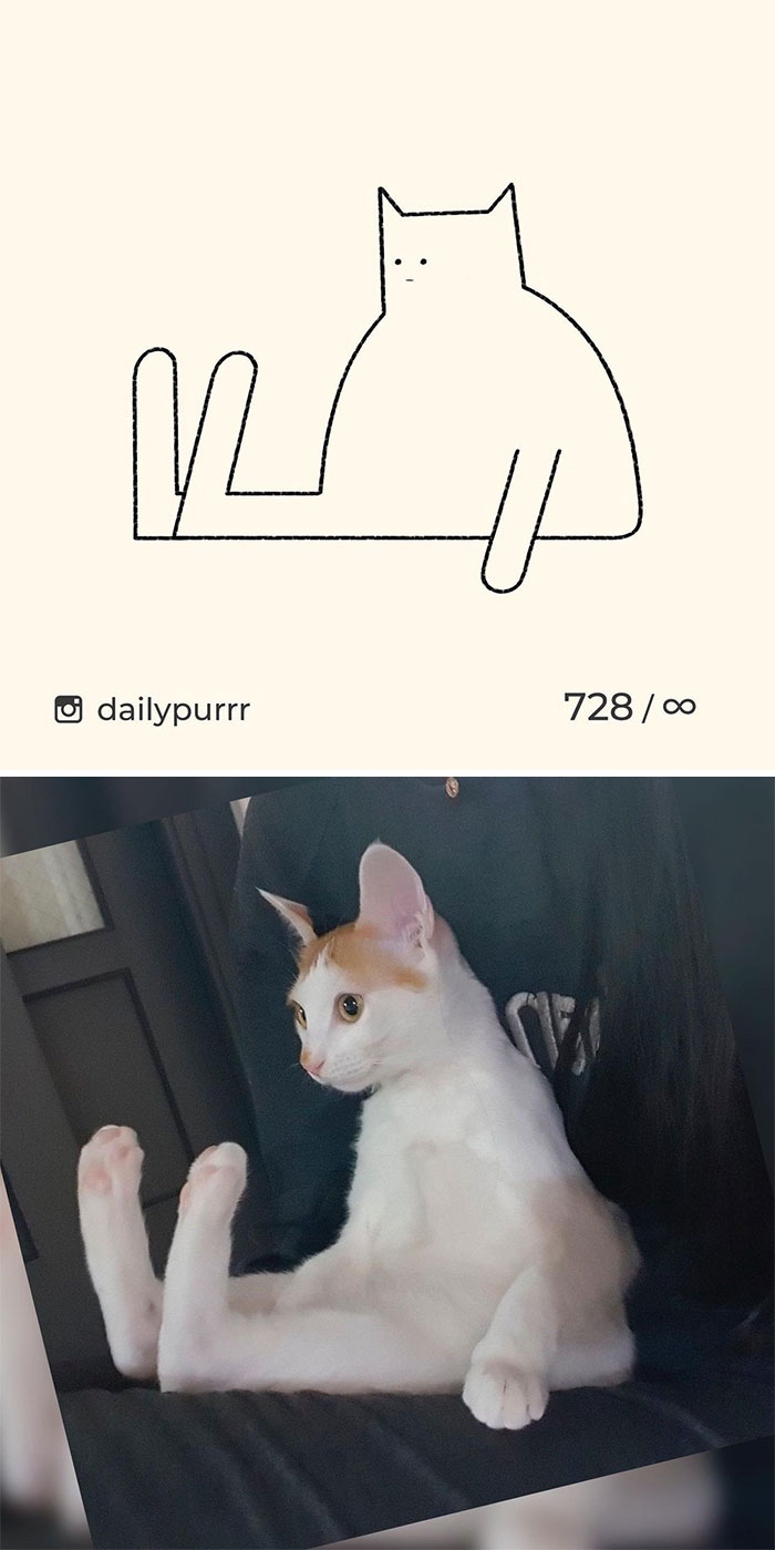бело-рыжий кот сидит как человек фото и рисунок