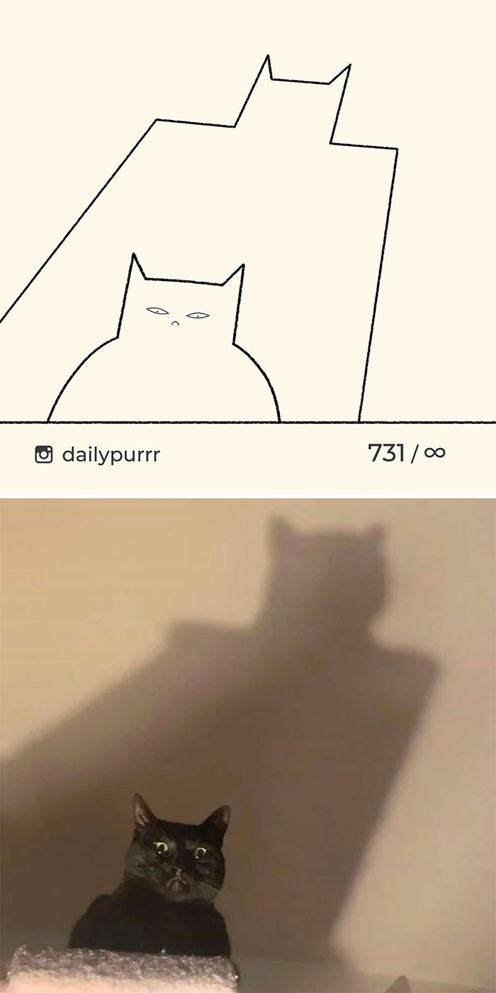 Парень создает корявые рисунки на смешные фото котов из интернета и это очень мило Приколы,Фото,коты,кошки,приколы,рисунки
