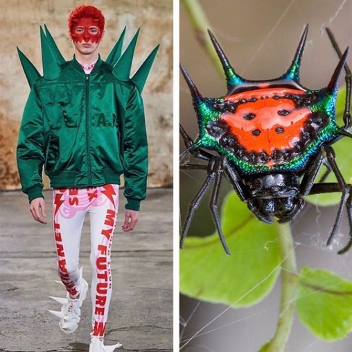 модель в зеленой куртке с шипами и паук