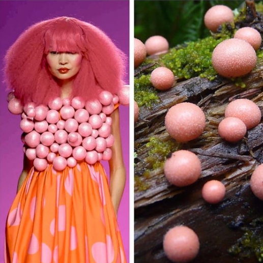 девушка с розовыми волосам и гриб на дереве