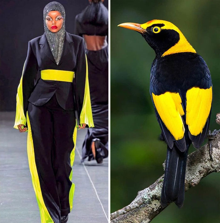 модель в черно-желтом костюме и птица