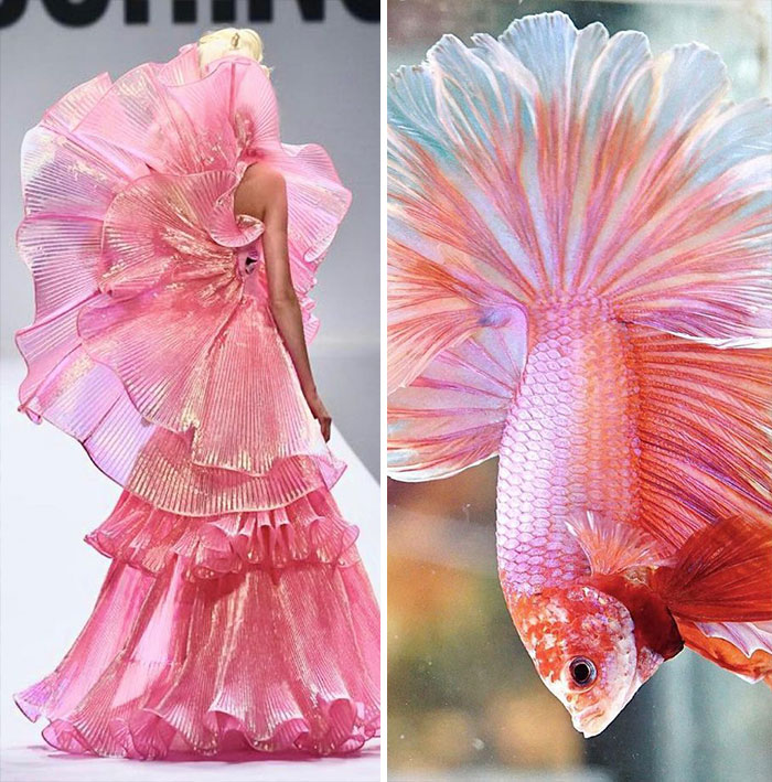 модель в розовом платье и розовая рыбка