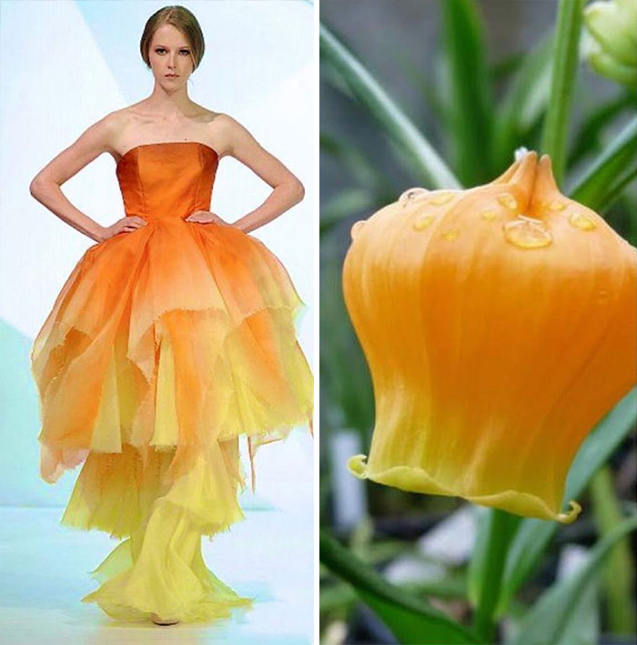 модель в пышном оранжевом платье и цветок