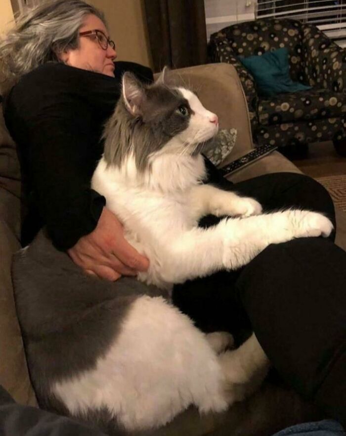 женщина сидит на диване в обнимку с котом