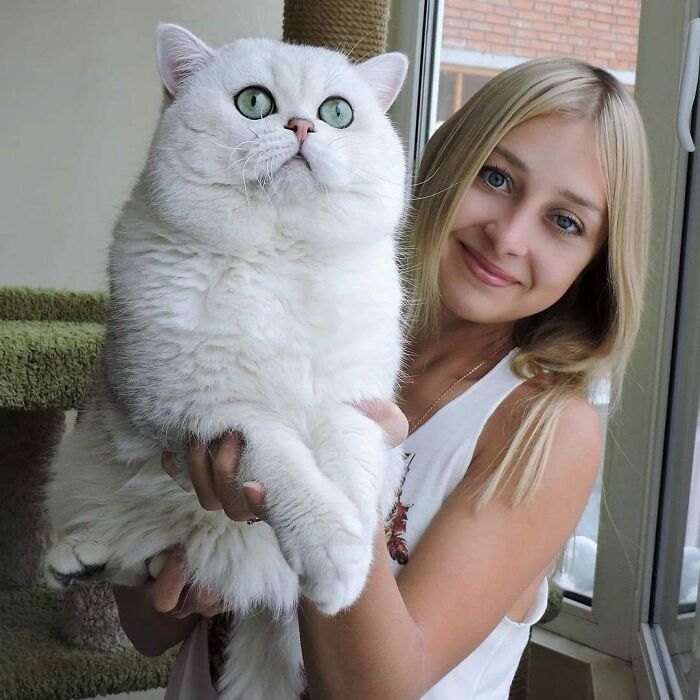 блондинка держит на руках белого кота