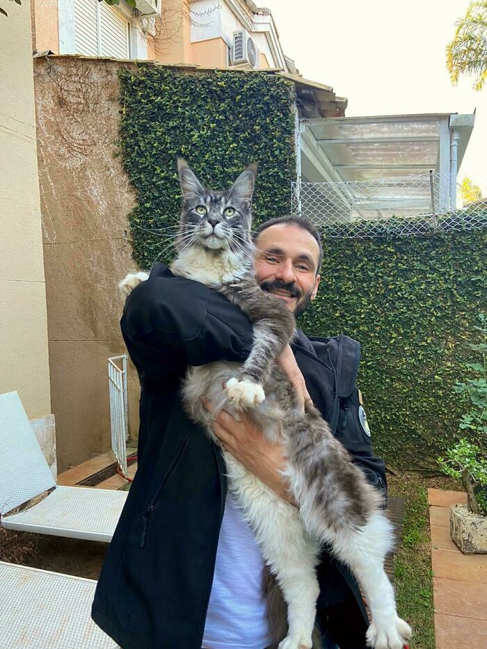 мужчина с серым котом на руках
