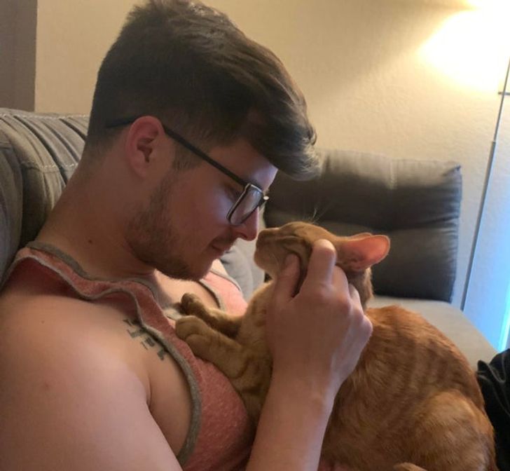 парень в очках гладит рыжего кота