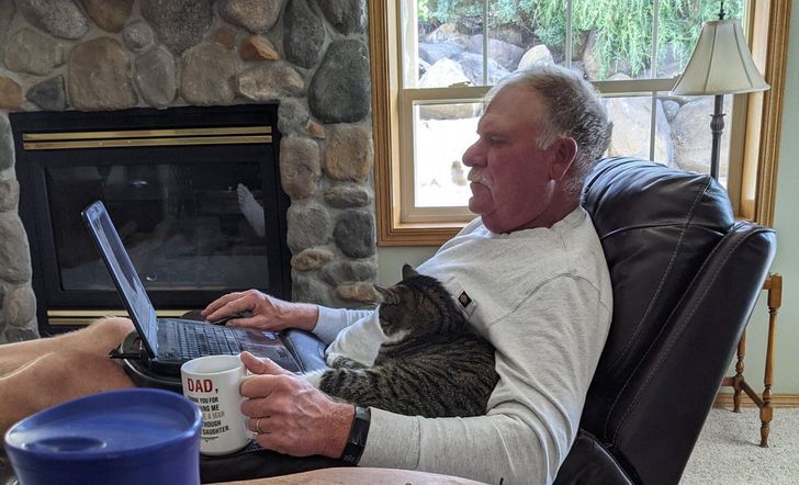 мужчина сидит в кресле с котом перед ноутбуком