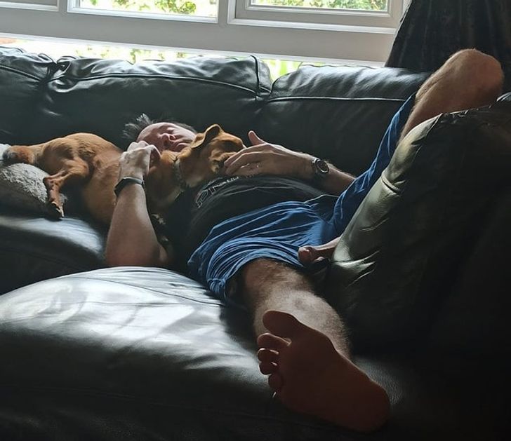 мужчина спит на диване с собакой