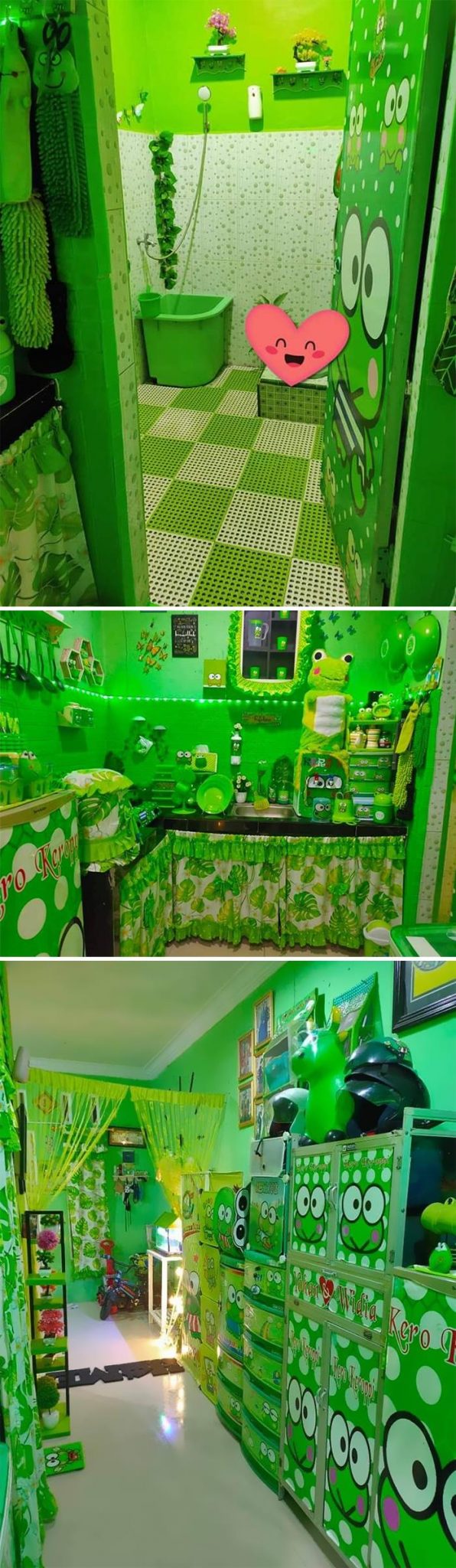 квартира в зеленом цвете