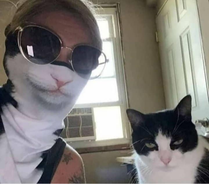 девушка в маске кота и кот