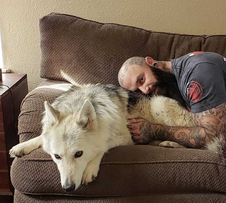 мужчина обнимает собаку на диване