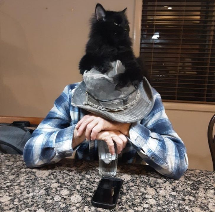 черная кошка на голове у мужчины в шляпе