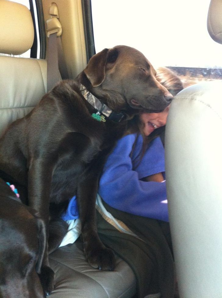 собака и девочка в машине