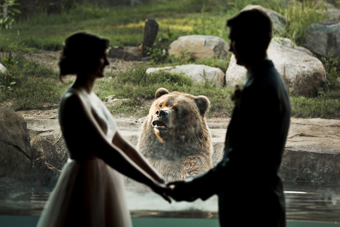 жених и невеста на фоне медведя