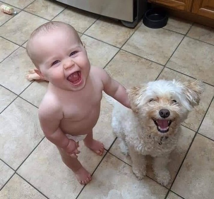 мальчик и собака улыбаются