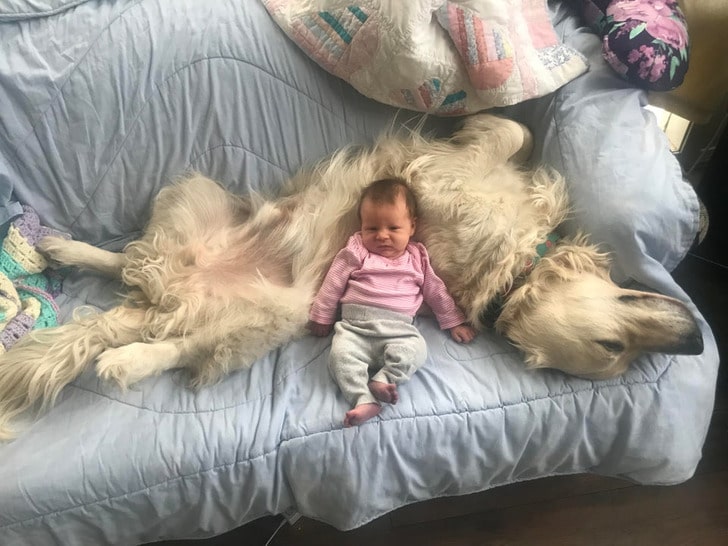 малыш сидит рядом с собакой на диване