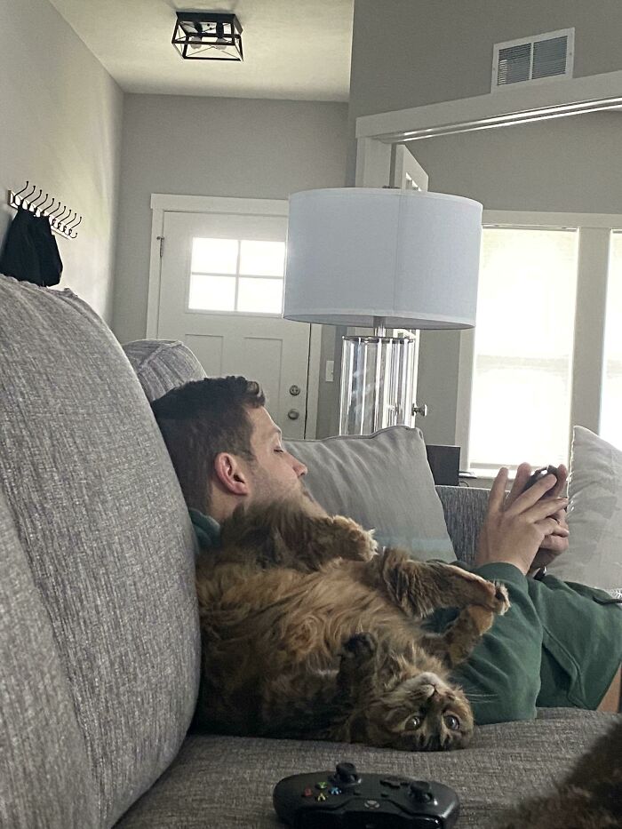мужчина и кошка сидят на диване