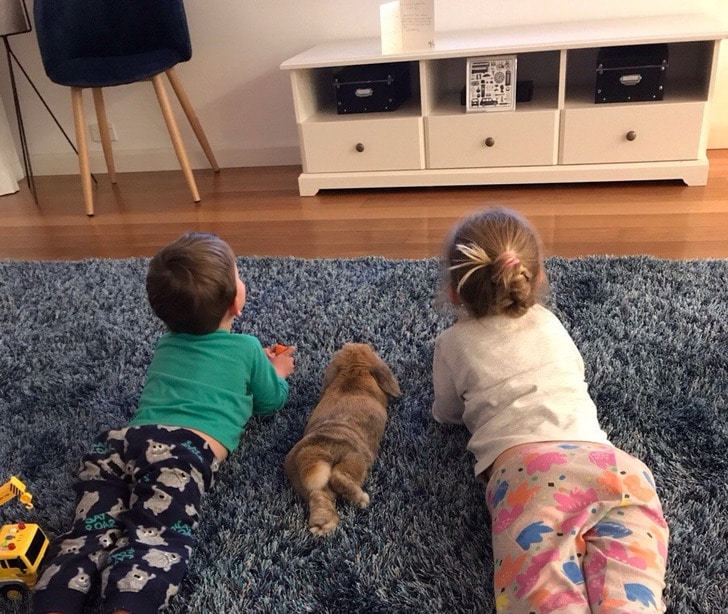мальчик, девочка и кролик лежат на ковре
