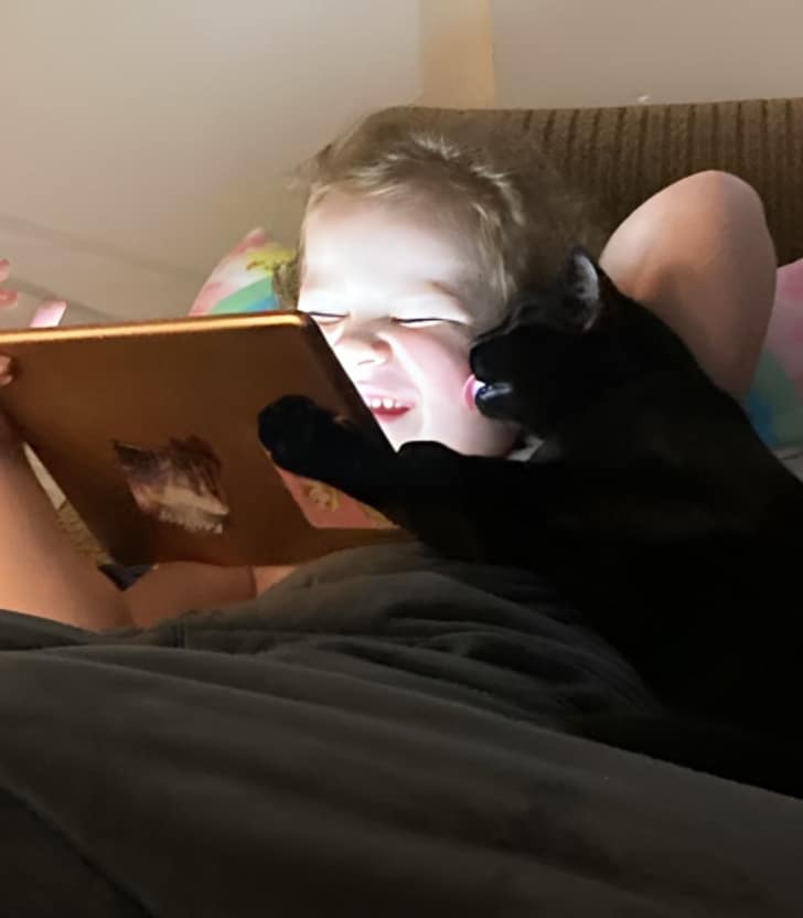 черный кот лижет щеку мальчику с планшетом
