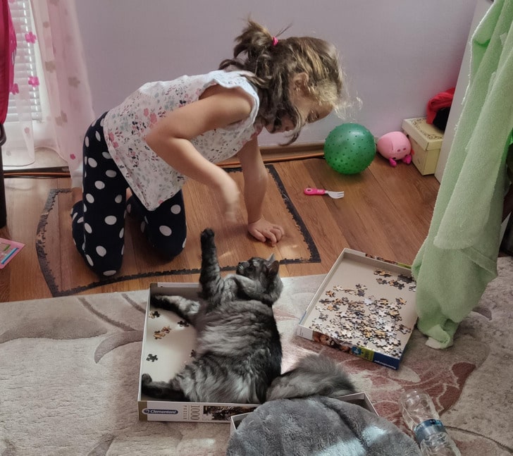 девочка складывает пазлы на полу с кошкой
