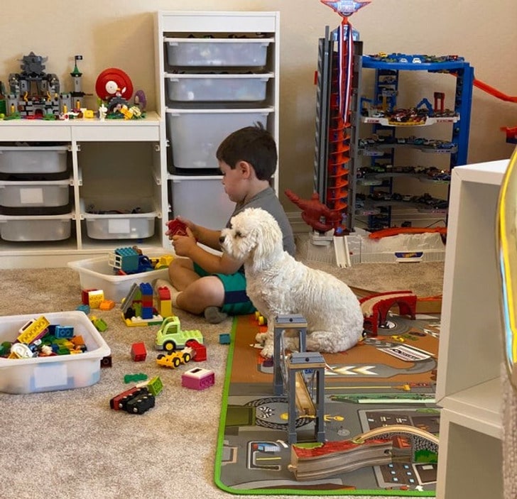 мальчик играет в лего в комнате с собакой