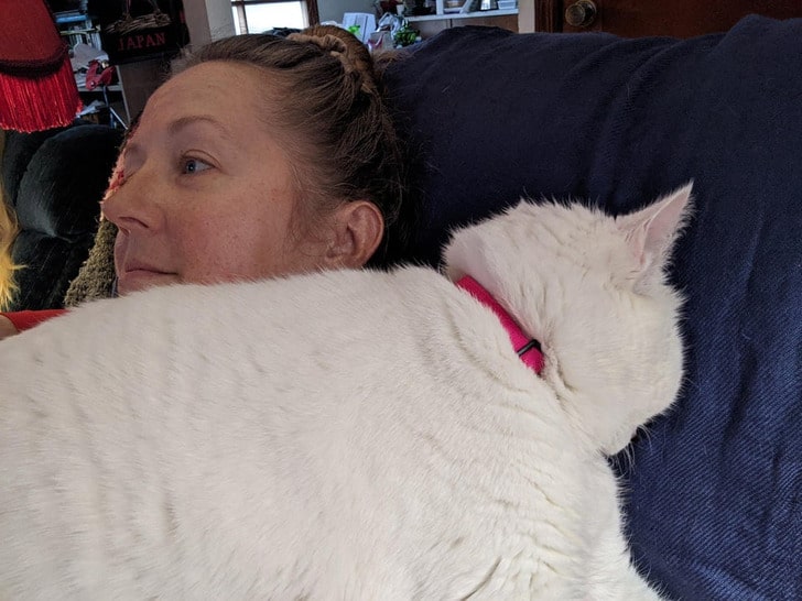 белая кошка на груди у женщины