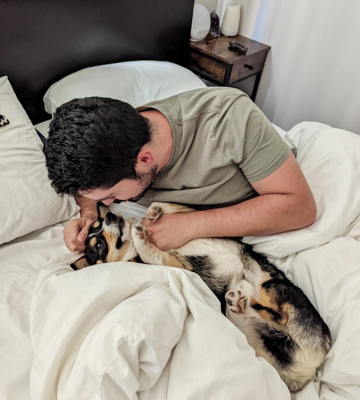 мужчина и собака в кровати