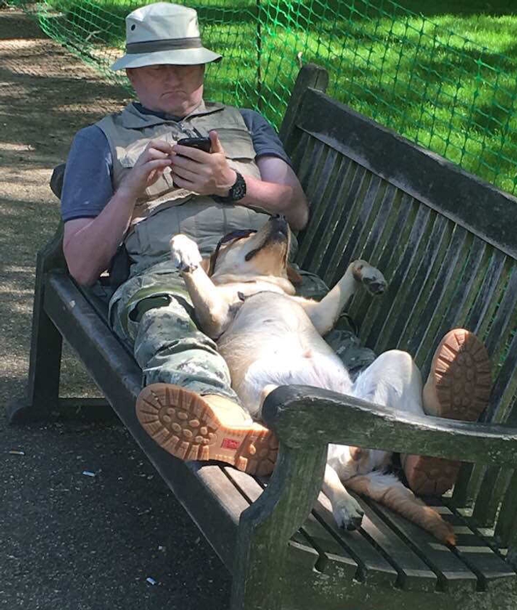 мужчина сидит на лавке с собакой