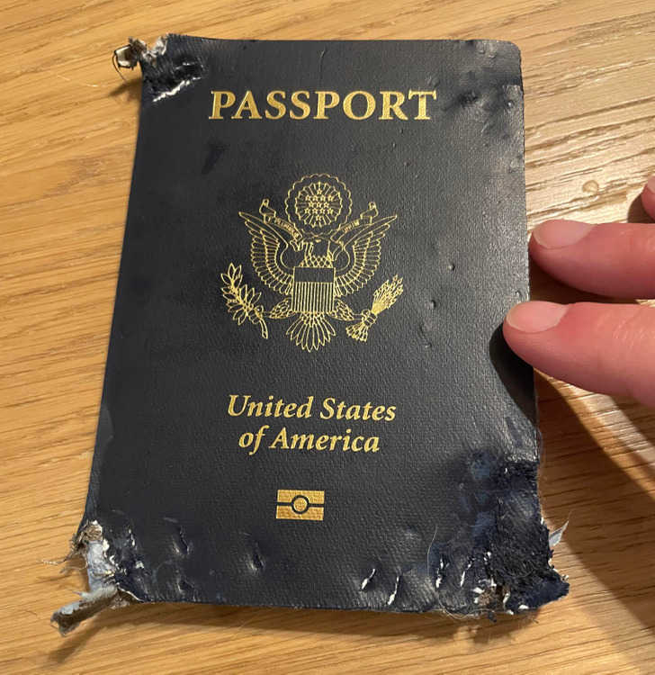пожеванный паспорт