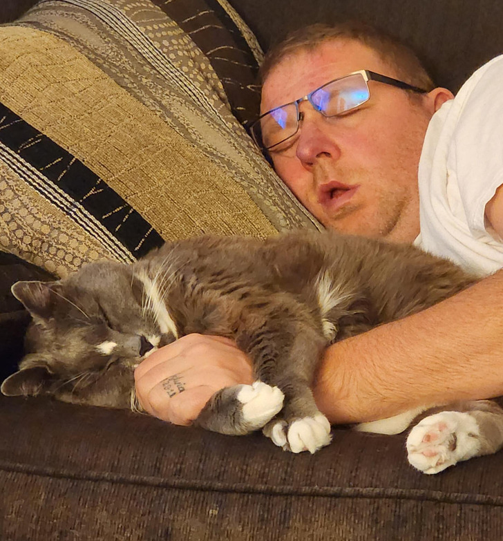 мужчина в очках спит в обнимку с котом