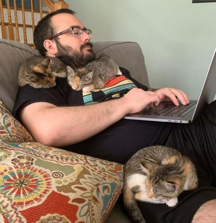 мужчина в очках перед ноутбуком и коты