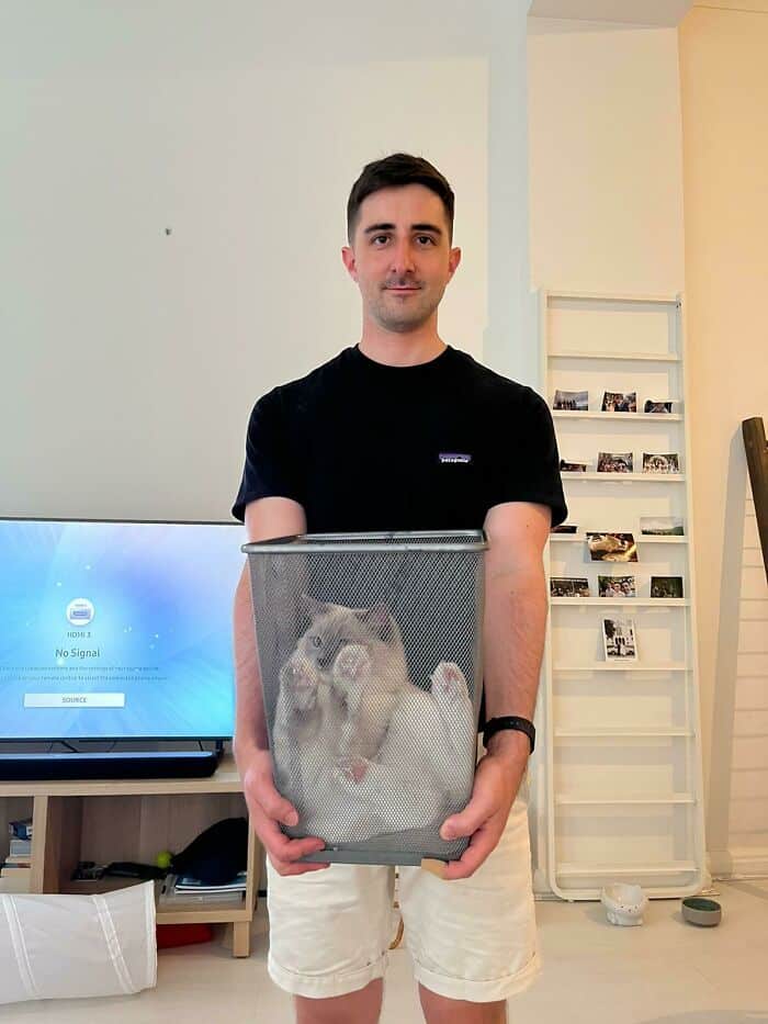 парень держит корзину с кошкой внутри