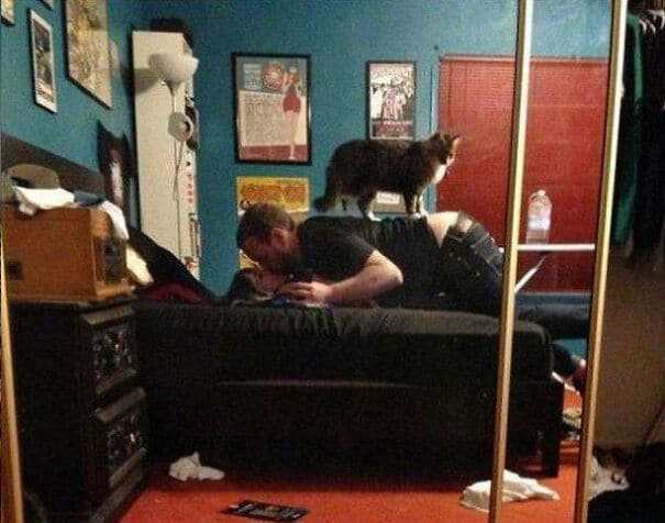 кот стоит на спине у мужчины