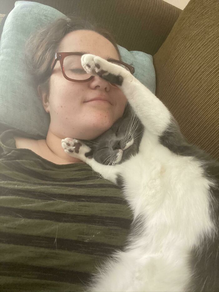 девушка в очках спит на диване с котом