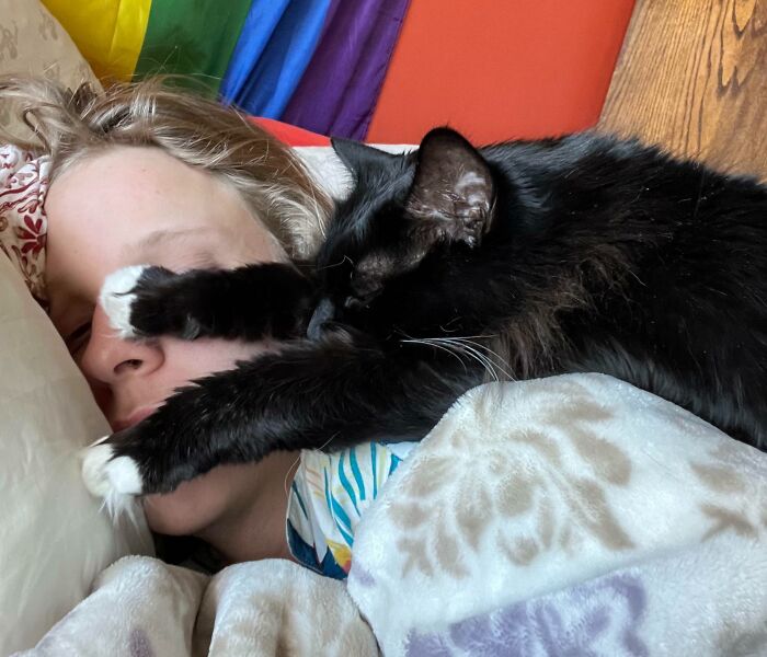 черный кот спит на парне