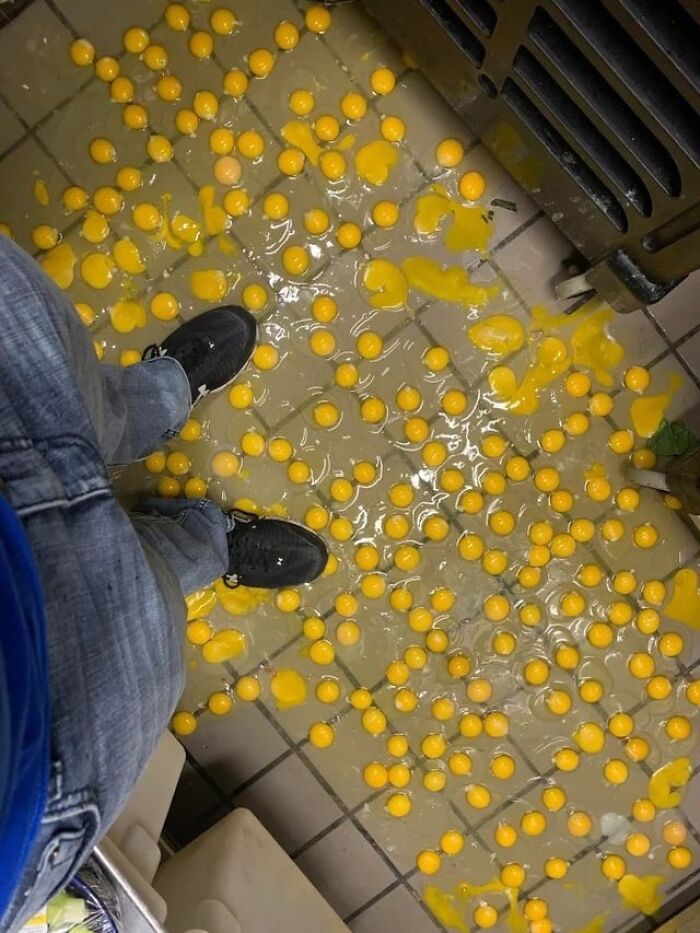 разбитые яйца на полу