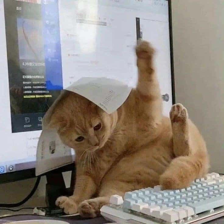 рыжий кот сидит рядом с клавиатурой
