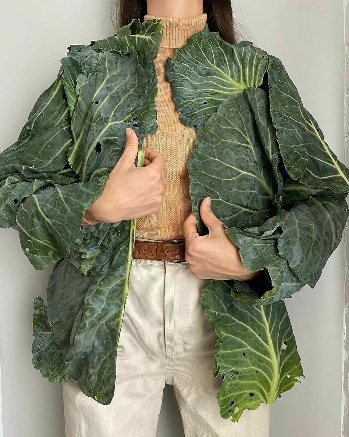 пиджак из капустных листьев