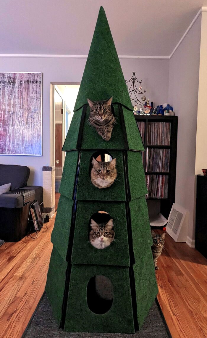 коты сидят на елке